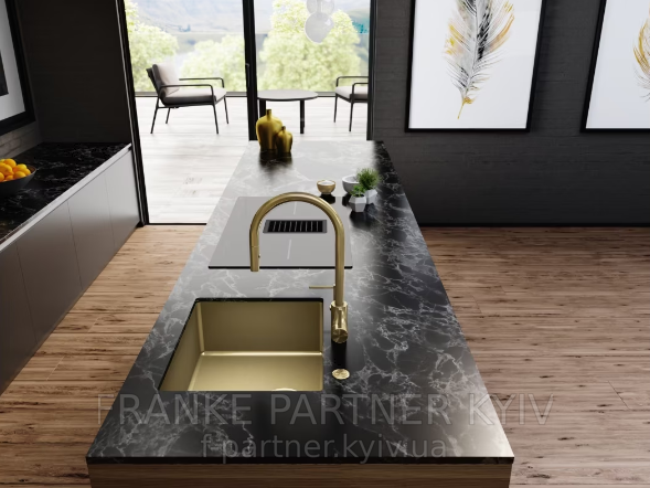 Franke-Partner.com.ua ➦  copy_Кухонна мийка BXX 210/110-50